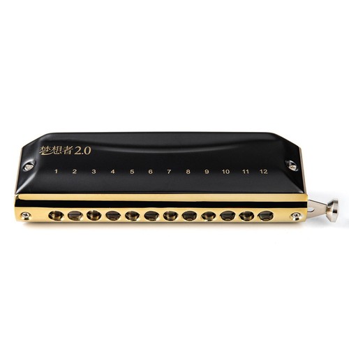 Easttop chromatic harmonica - easttop,